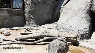 Salacious Matt's public smut