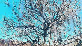 Piss Dirt Pussy Hana in Teen Hair Style Nice Petite Girl Asian