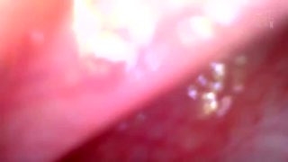 x2x137B0A57D21B17F759