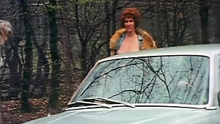 Golden Century of Porn 8