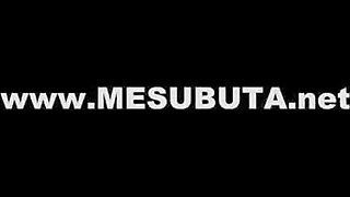 Mesubuta - 506