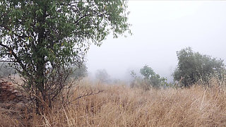 Gorgeous Spanish goddess gets ass punished and tied up for piss play by an olive grove