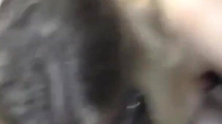 Leandra 24 - Blowjob 01 - Cock Sucking, Blowjob and Cumshot