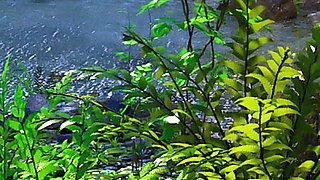 Love Season 3: Marcus & Alex Find Nude Lake Beauty