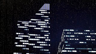 Bunny Girl gets knotted by Werewolf