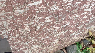 Piss Water, Walk to Garden