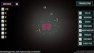 ANOMALY EVOLUTION