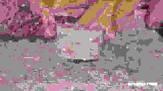 A Hot Lesbian Christmas Compilation