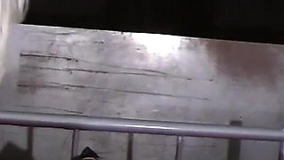 Her Personal Sex Slave Part 1