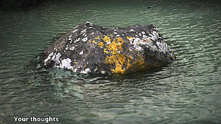 Wvm - Part 220 - Found 'em by Misskitty2k