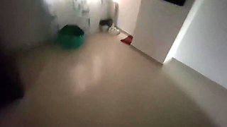 My Sexy Brunette Latina Neighbor Excited Me With Her Huge Ass & Amazed Me With Hot Dick Riding