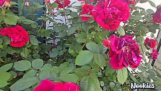 Nookies - Exciting Housewife Sydney Paige Humped Outdoors