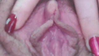 My Creamy Vagina