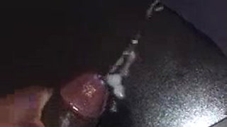 X hamster cage