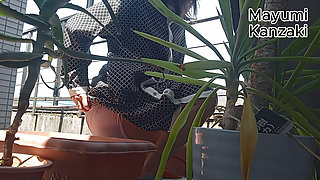 I Pee in the Potted Plant Again
