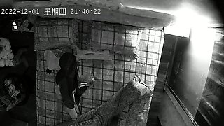 Amateur Hidden Cam with Dildo Wives