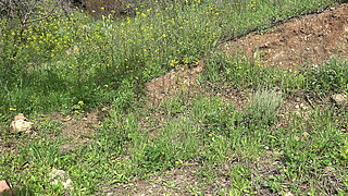 This American Woman Is Crazy!!! She Buys a Dirty Used Dildo on the Black Market in a Muslim Country!!!