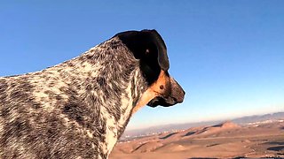 Hot babe Sophie Paris having horny solo toy masturbation