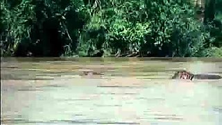 Brunette amateur slut fucking hardcore and taking facial