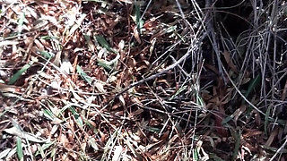 Pee and straw without clothes in grove