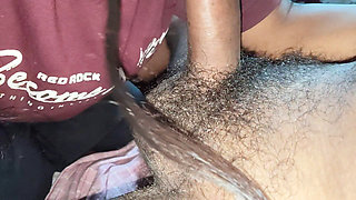 My Sister-in-law Was Desperate to Suck My Cock