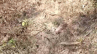 Bhabi Desi Dogi Style Full Romance and Sex