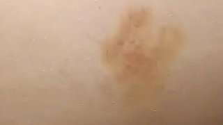 Hard Sex in the Forest! Fucked a Stranger!