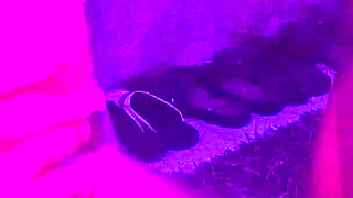 Hot Blow Job Ebony Teen with Suction Lips and Tongue Action POV