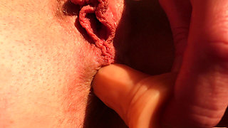 Anal Dildo Masturbation Closeup