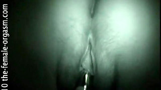 T Butterfly Bottoms Up