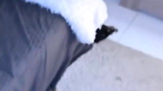 Tattooed Brunette's Wild Lust in a Steamy Encounter