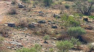 Ebony Couple Hiking Fresh Air and Pornstars