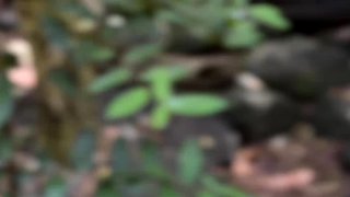 A Real Australian Experience With Aussie Hottie Jade Harper