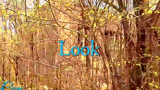 Hot amateur teen blowjob and fuck