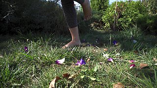 Crushing Flowers Barefoot in the Grass