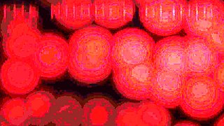 Amateur cam girl fingers and toys with her loose ass