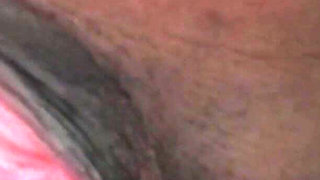 Pussy