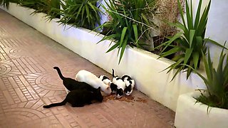 Sexy teen blonde gets ready to party in a nightclub