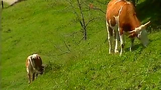 Astrid Pils And German Classic In Huttenzauber (1989)