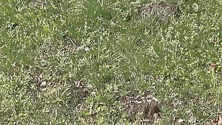 Submissive Slut Blindfolded, Naked and Used While Driving on the Highway!
