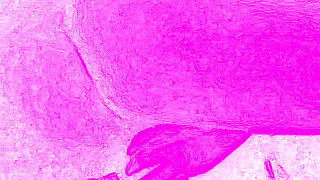 A Sexual Encounter Is About Joy, so Intense and Wild That It's Difficult to Describe in Words.