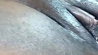 Phat Ass Booty Cumming on My Dick and Kept Asking for More