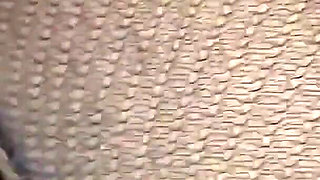 Sexy Student in the Car 2