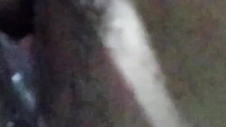 Amateur Solo Fingering