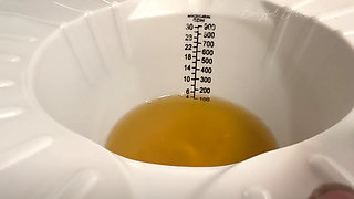 Daily Pee Diary: Desperately Needing to Pee in the Morning: Measuring Urine Output for 3 Days: Pee Diary 1: Bootyful Bella B