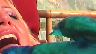 Blonde Slut with Big Tits Masturbates and Has Sex in the Pool