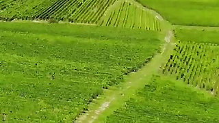 Didine, Incredible MILF, Gets Banged by Two Cocks