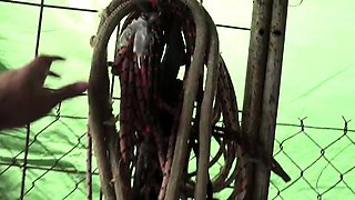 Hardcore deepthroating and pussy pounding for lustful slut