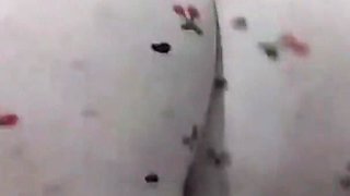 Big Arab Ass Hot Arabic Girl Hot Arab Wife