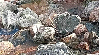 Beautiful mature wife and a beautiful outdoor ANAL on the river